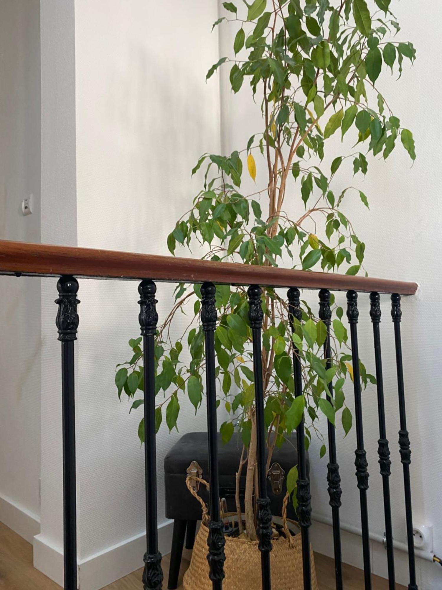 Maison De Charme Neuf Hyper Centre Μπορντό Εξωτερικό φωτογραφία